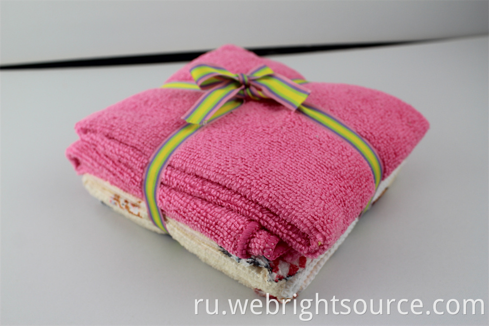 2pc microfiber cleaning cloth